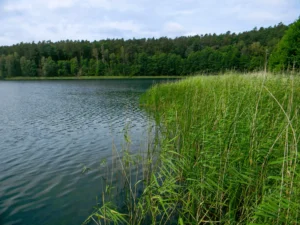 Ułańska-Zagroda-Drawieński-Park-Narodowy-jezioro